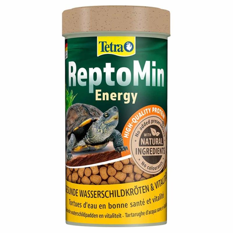 Schildpadvoer - Schildpadvoer