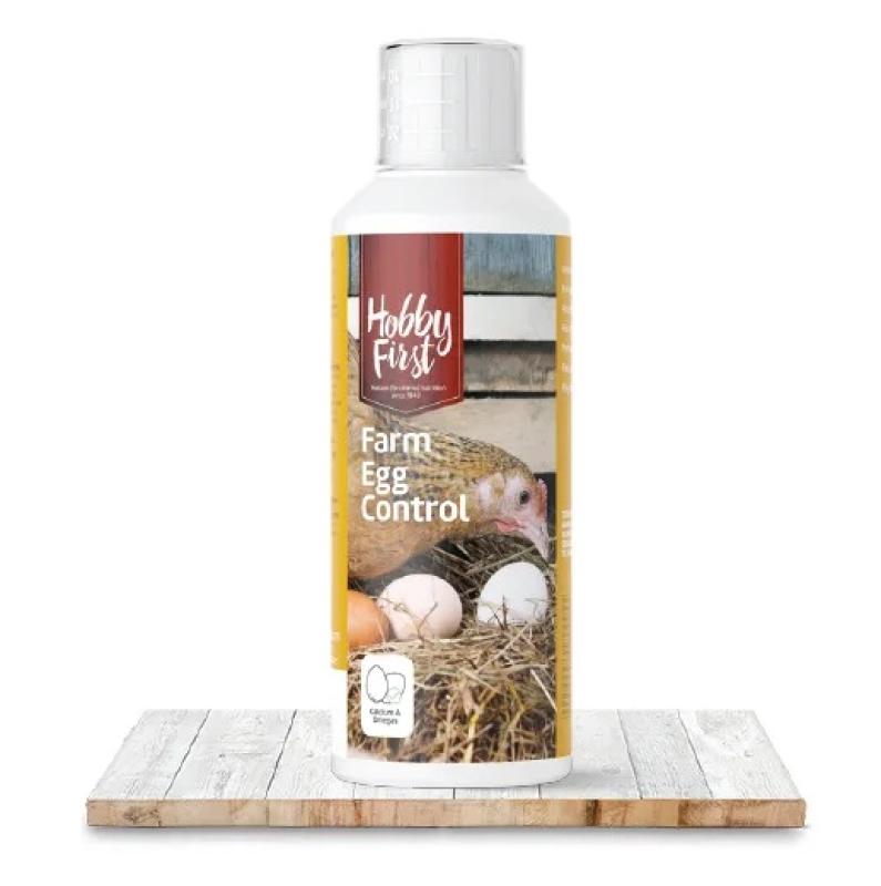 Hobby First - Hobby First