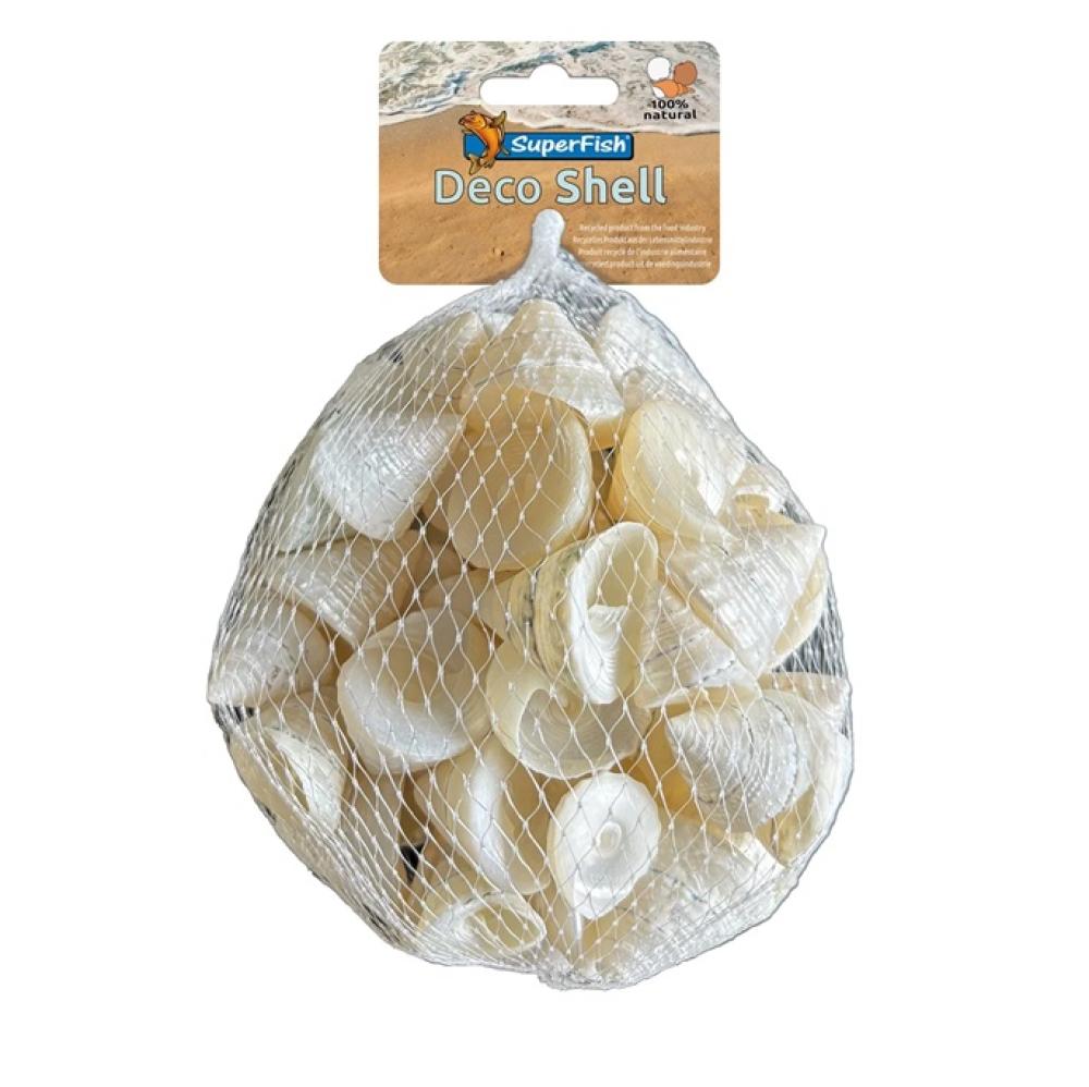 SF deco schelp - SF deco schelp