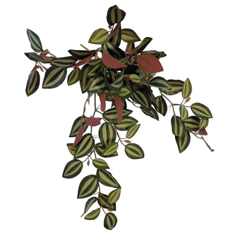 Repto plant - Repto plant