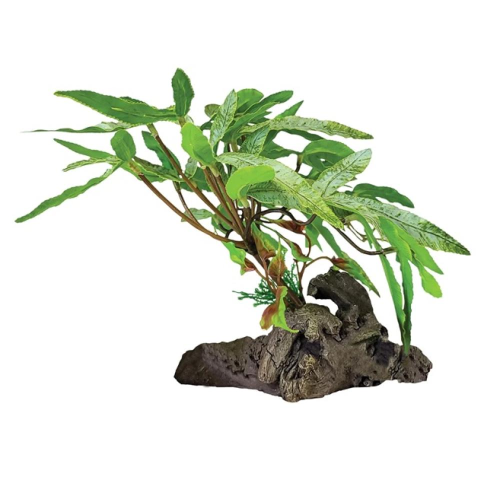 Repto plant - Repto plant