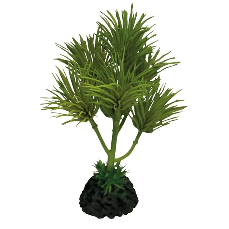 Repto plant - Repto plant