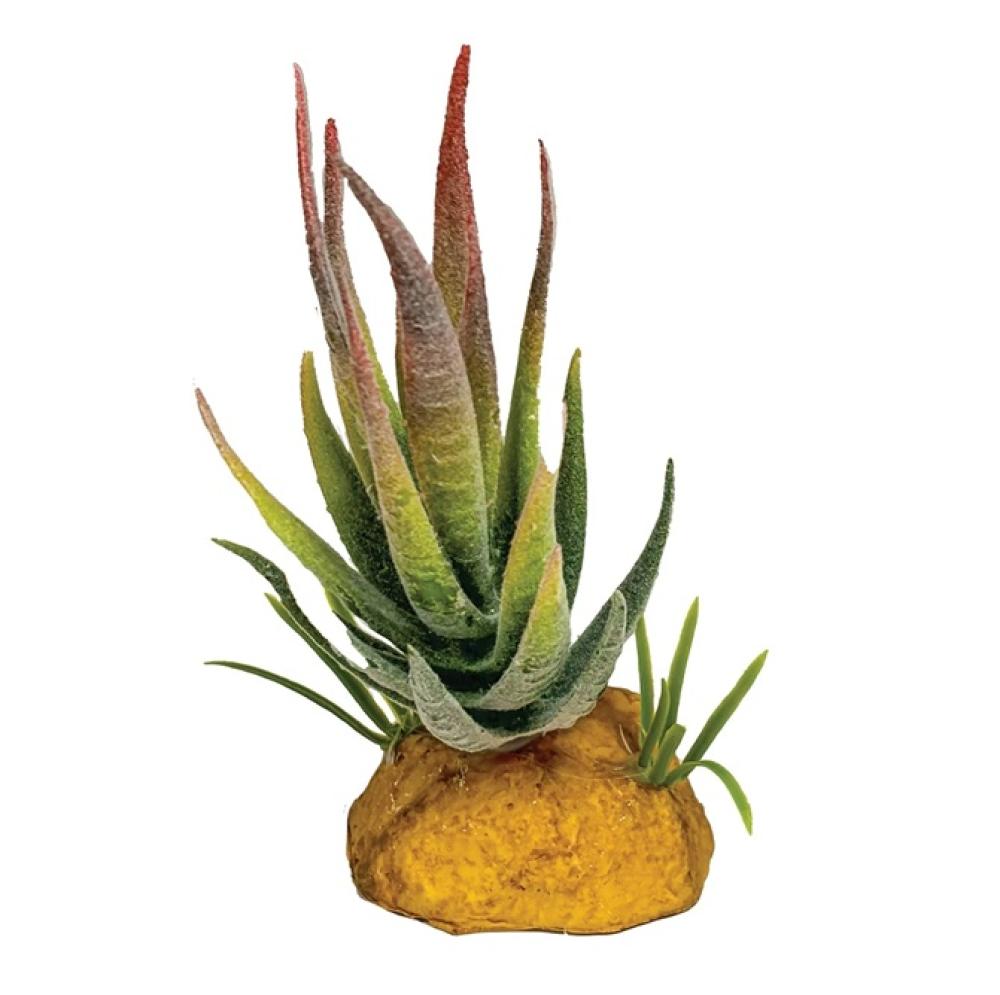 Repto plant - Repto plant