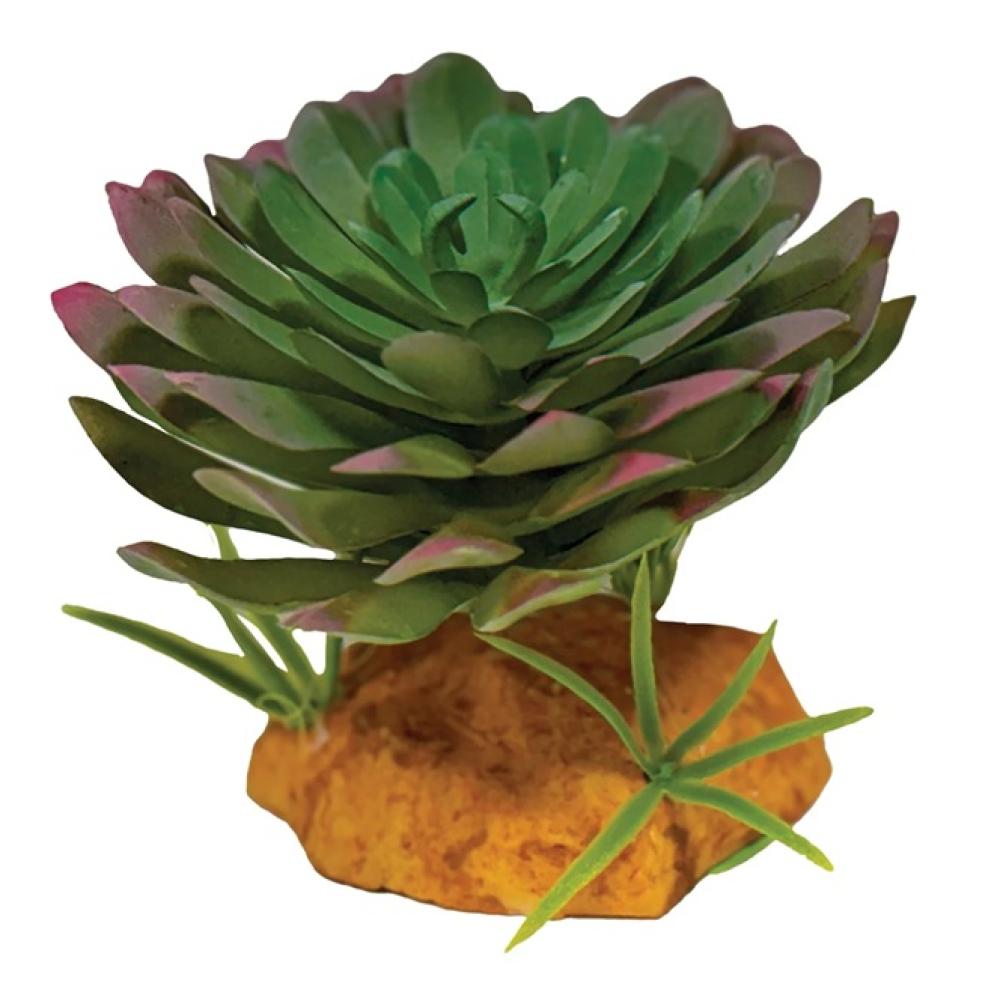 Repto plant - Repto plant