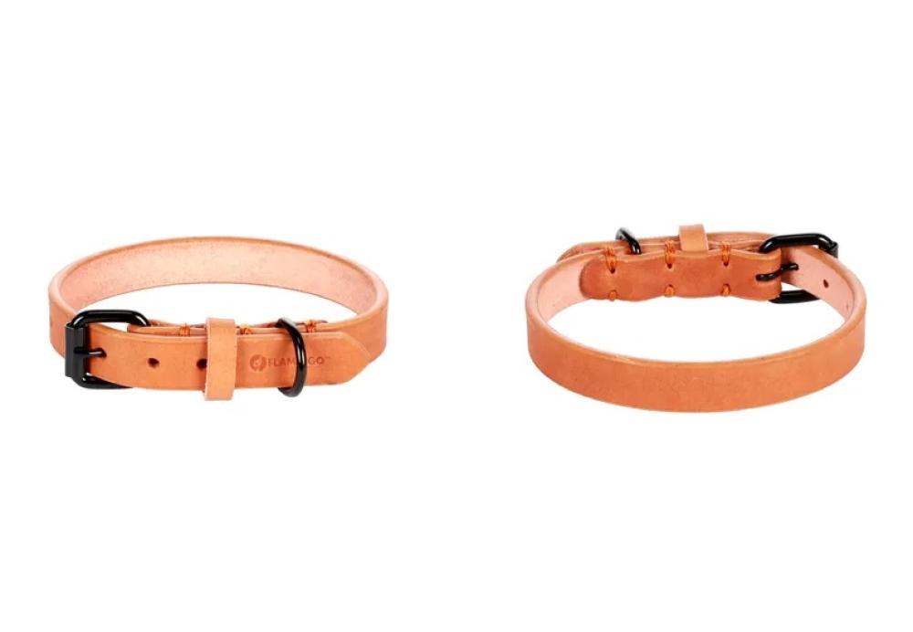 Leano cognac - Leano cognac