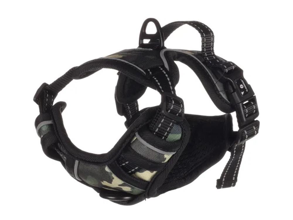 Balou jungle - Balou jungle