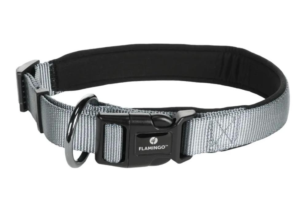 Abbi grijs - Abbi grijs