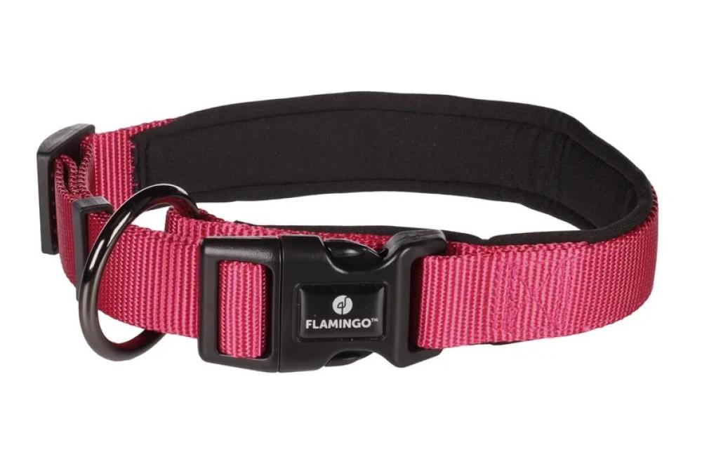 Abbi kersenrood - Abbi kersenrood