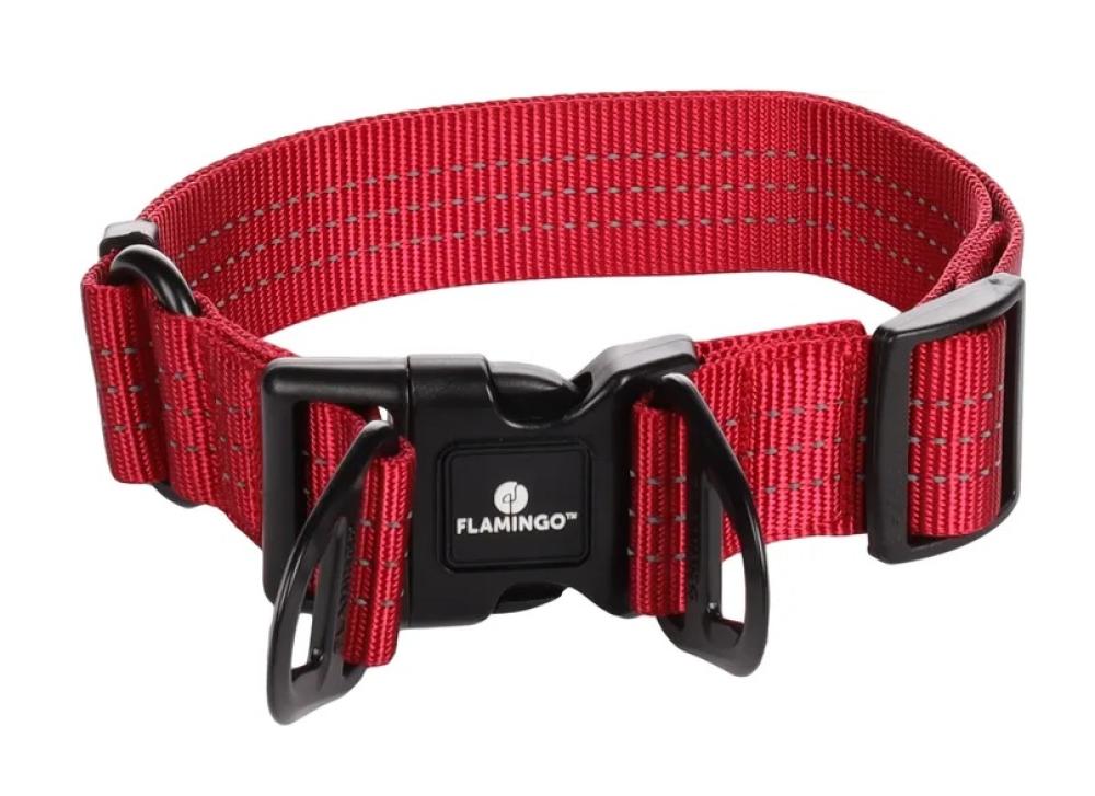 Zorba rood - Zorba rood