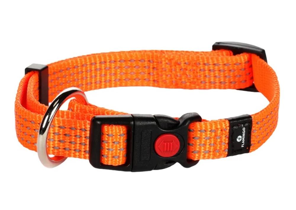 Len oranje - Len oranje