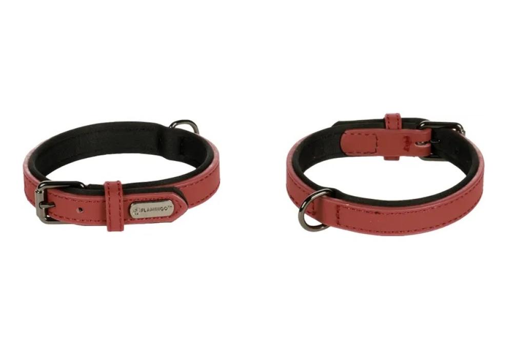 binti rood - binti rood