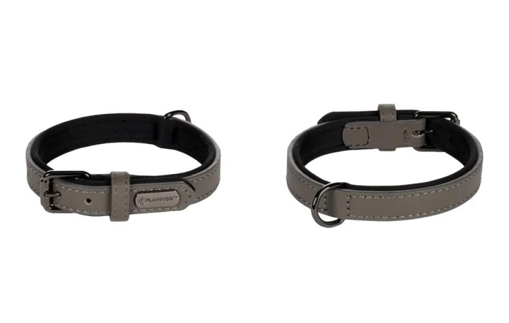 binti grijs - binti grijs