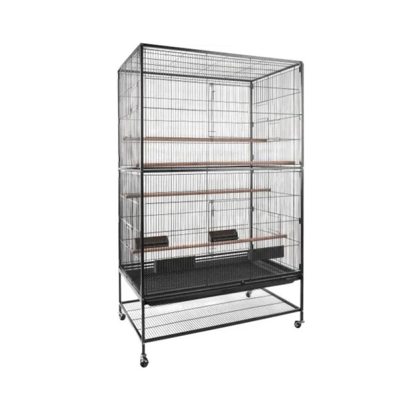 Sierkooi Flamingo - Sierkooi Flamingo