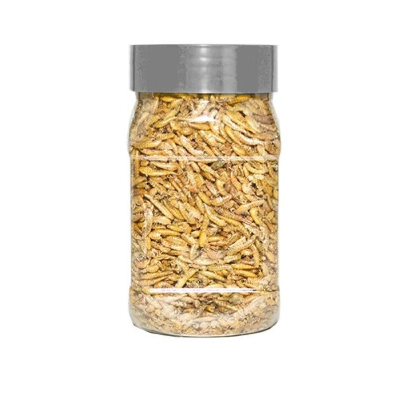 Schildpadvoeding KaRo - Schildpadvoeding KaRo