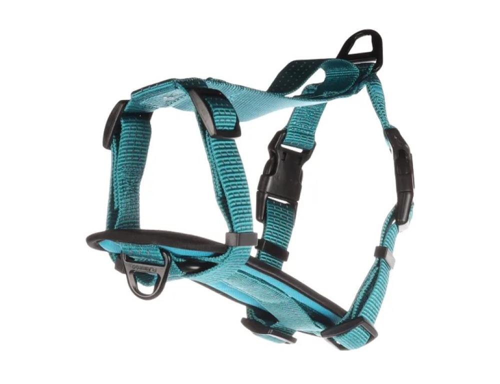 Zorba H-harnas turquoise - Zorba H-harnas turquoise