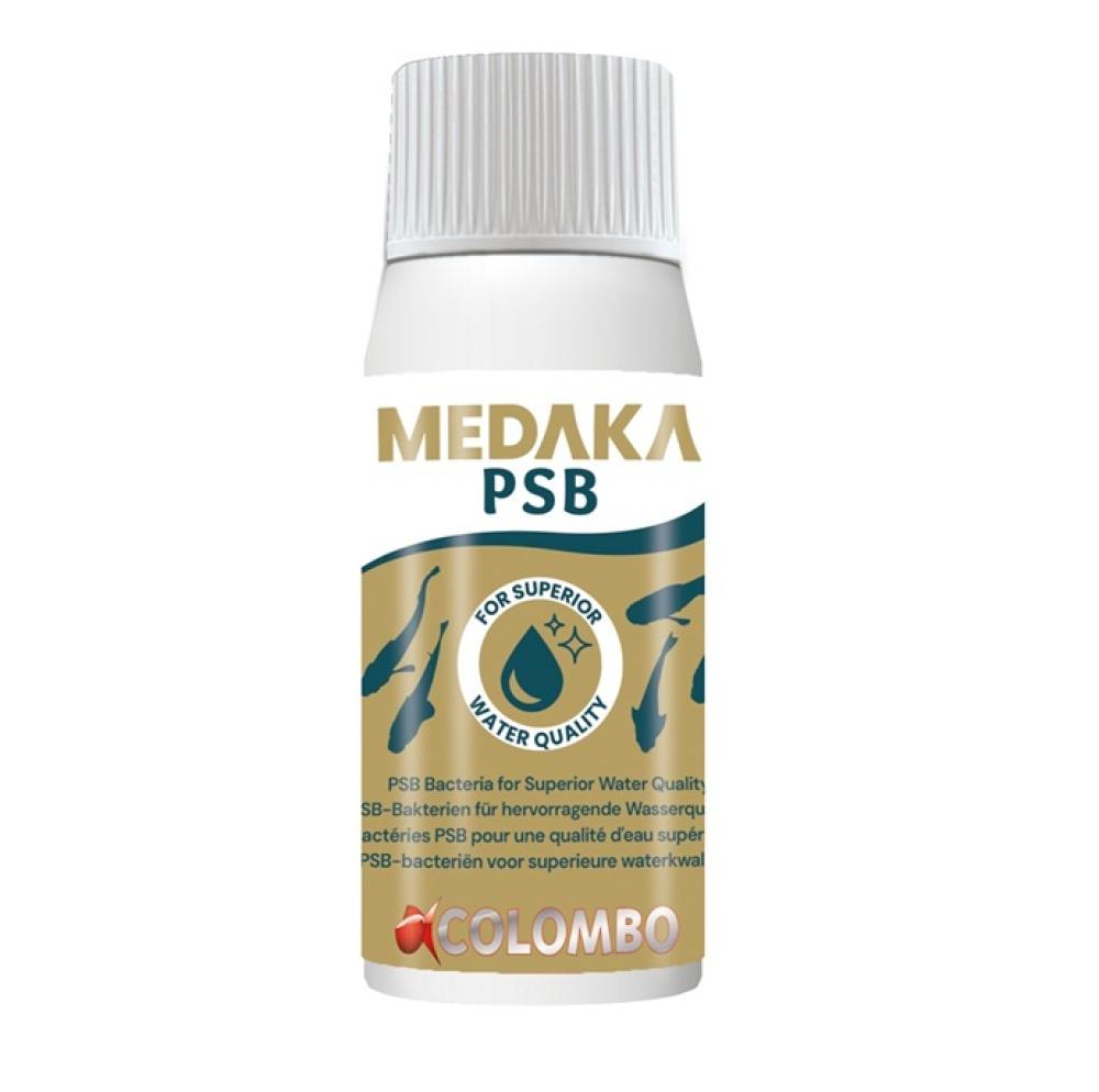 Onderhoud Colombo - Onderhoud Colombo