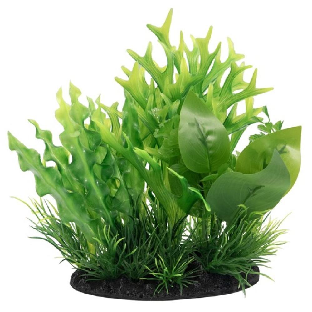 SuperFish - SuperFish