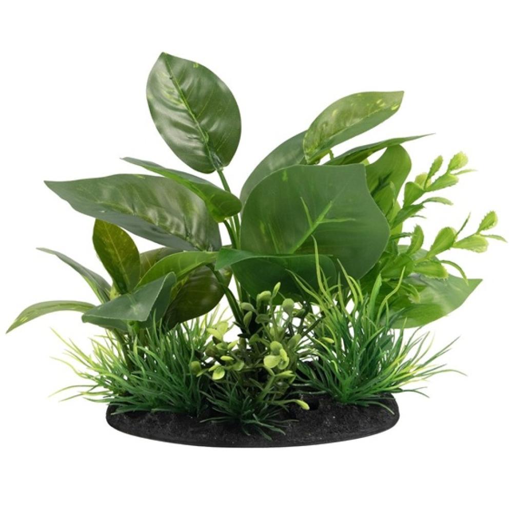 SuperFish - SuperFish