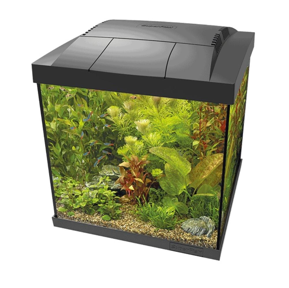 Aquarium SuperFish - Aquarium SuperFish