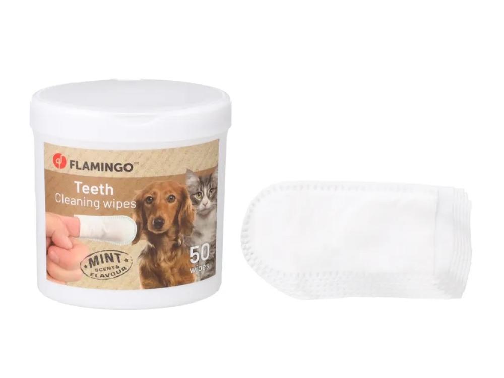 tandverzorging - tandverzorging