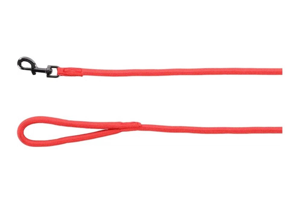 aiden rood - aiden rood