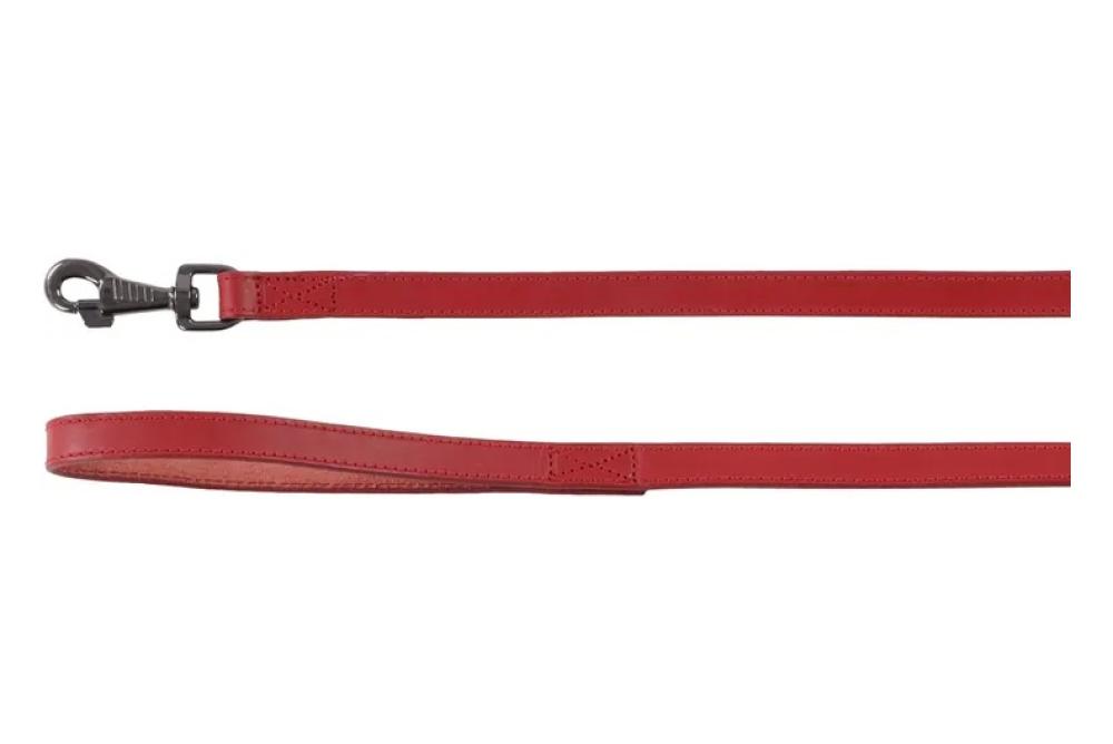 Denver rood - Denver rood