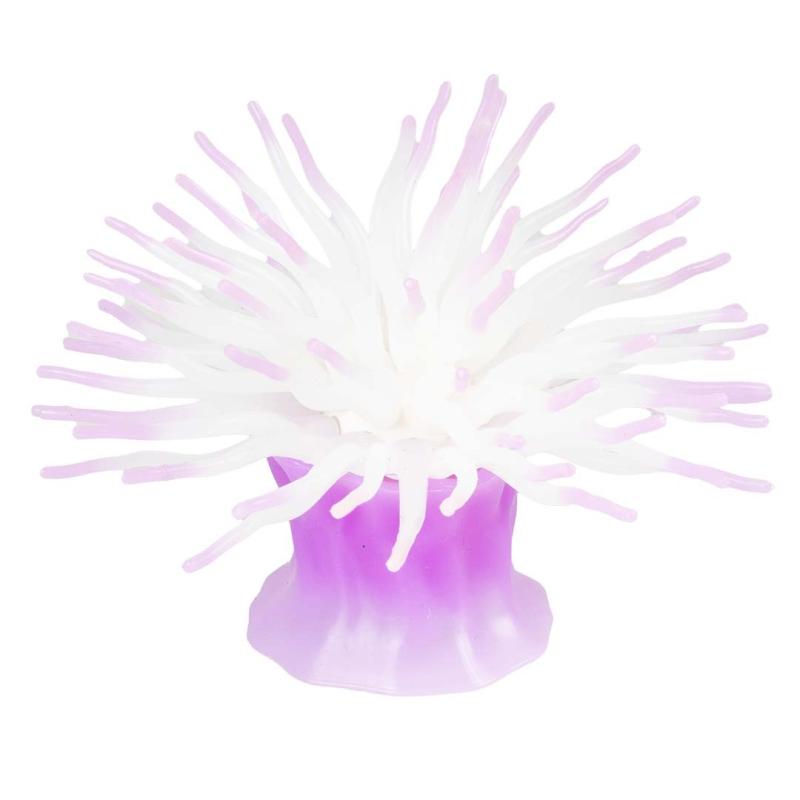 Deco Aqua Della - Deco Aqua Della