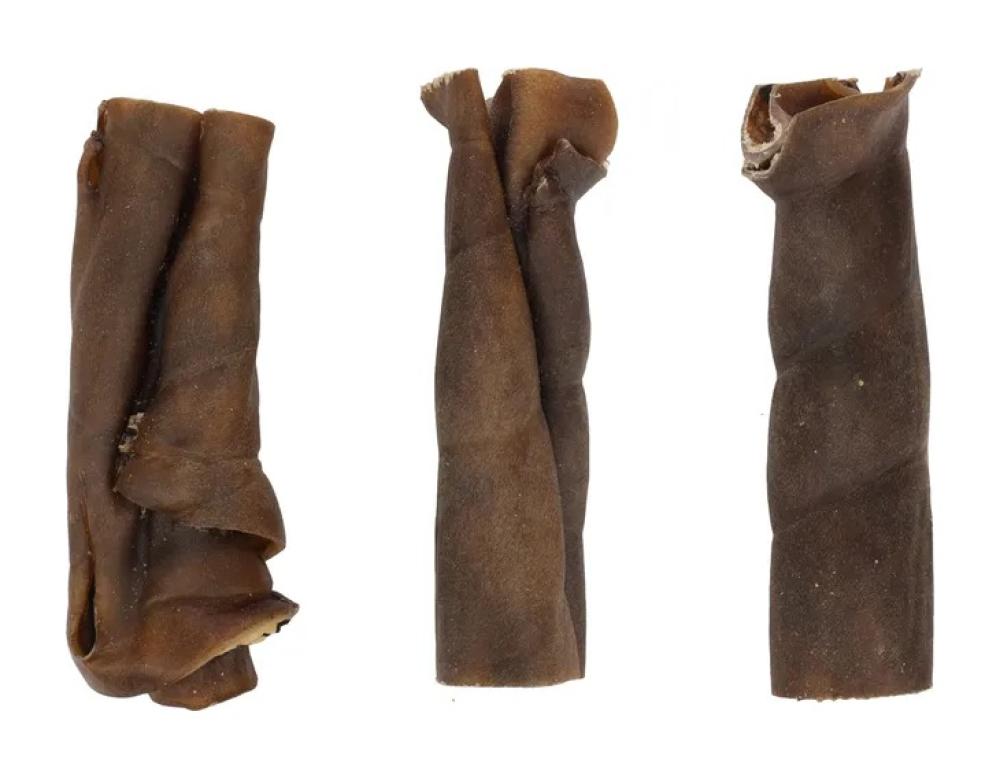 nature snack - nature snack