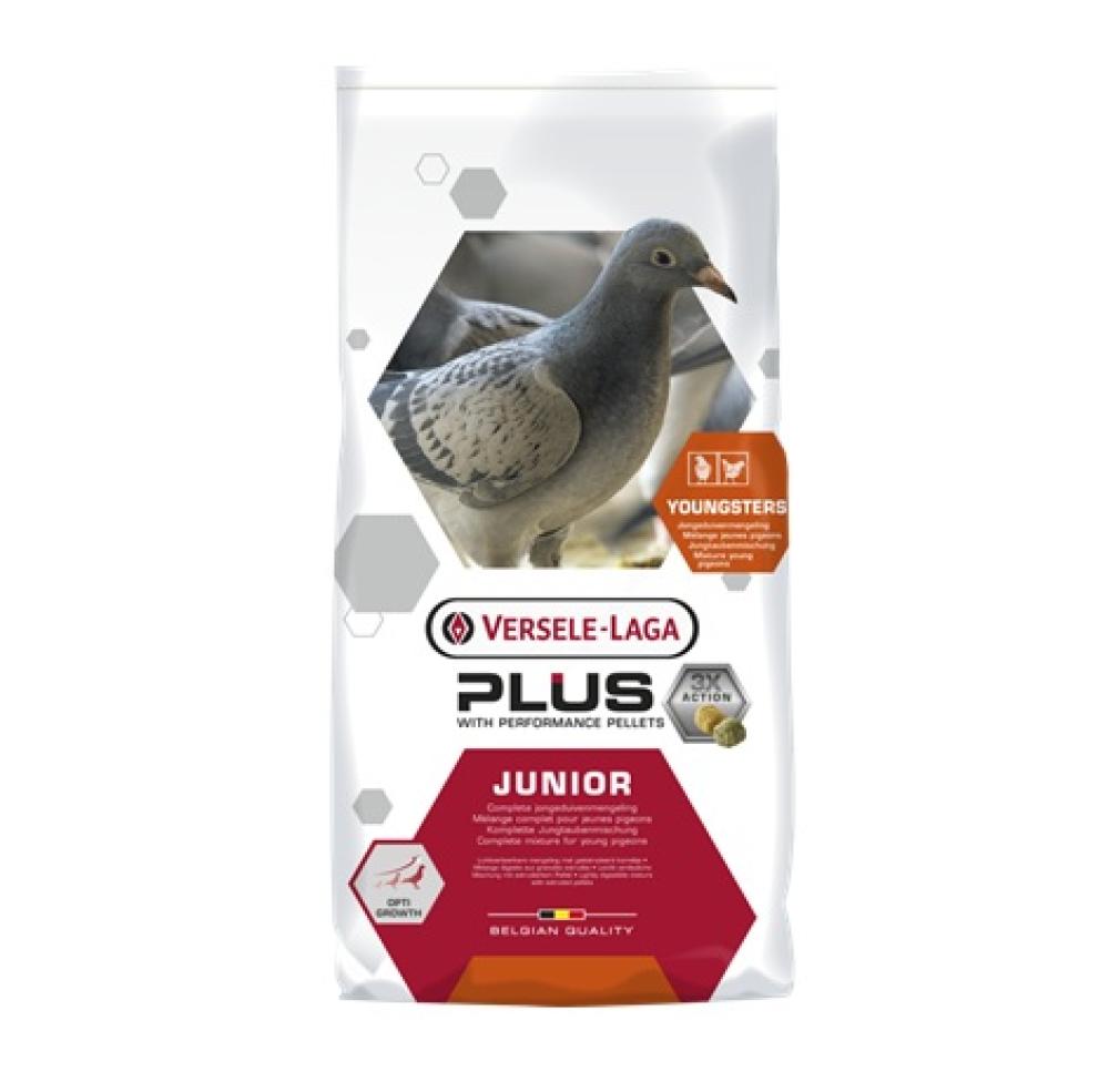 Duiven Versele-Laga - Duiven Versele-Laga